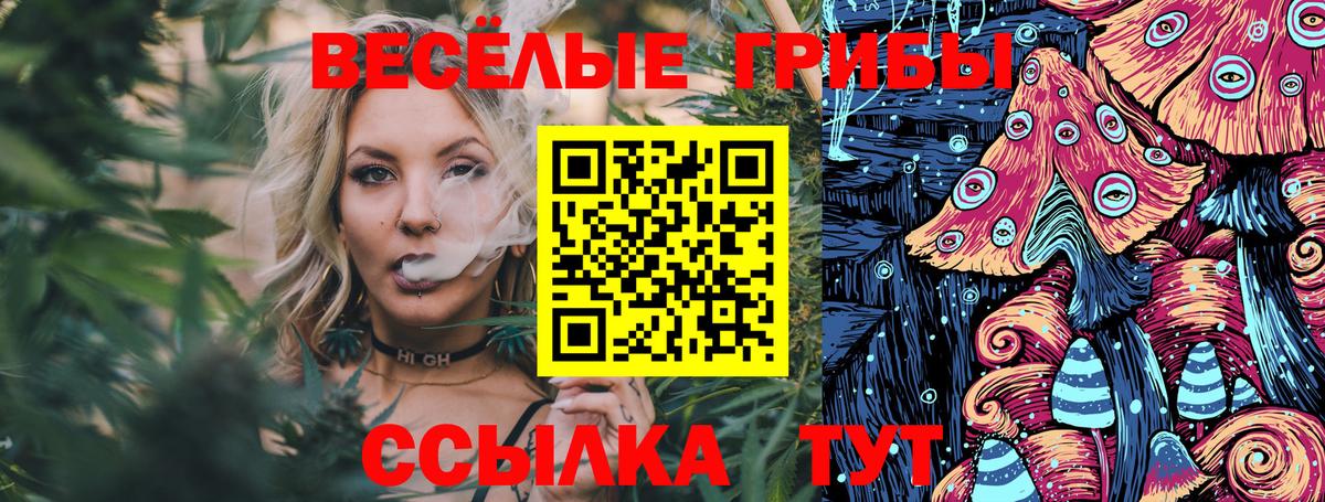 Галлюциногенные грибы Psilocybine cubensis  Галлюциногенные грибы Psilocybine cubensis  Кизилюрт  Вход с VPN 